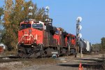 CN 2317